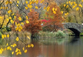 природа, осень, парк, водоём, вода, мостик, ветки, листья