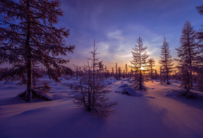 закат, зима, снег, сугробы, деревья, пейзаж