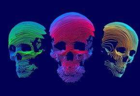 , colorful, skull