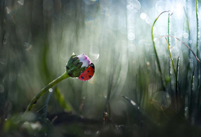 , , ,  , , , , Roberto Aldro ...