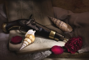 Натюрморт, пистоль, роза, раковина, ракушка, цветок, пистолет, книга, лепестки, покрывало