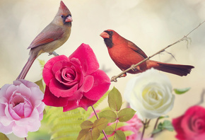 3D, digital art,  , , , , , , 