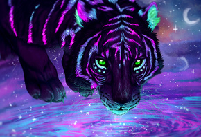 Neon, Tiger