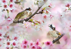 , , , , , , , , , FuYi  ...