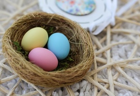 гнездо, яйца, разноцветный, Пасха