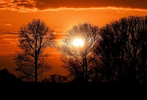 закат, вечер, деревья, солнце
