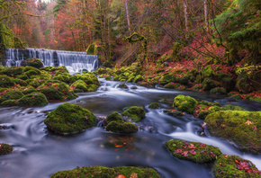 осень, ручей, течение, водопад, река, лес, деревья, камни, мох, природа