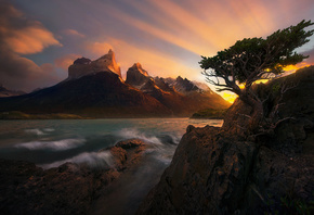 Marc Adamus, природа, пейзаж, Патагония, скалы, фьорд, море, дерево, сосна, ...