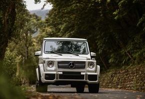 mercedes-benz, g-class, mercedes, gelandewagen