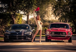 �������, Ford, Dodge