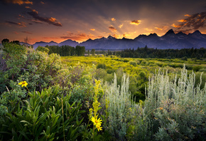 national park, Grand Tetons, United States of America, ,  , , , , , 