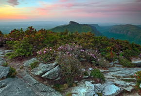 , , Avery North, Carolina, , 