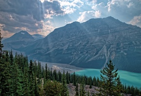 Peyto, Lake, Banff, National Park, Alberta, Canada, горы, деревья, небо, облака, лес, природа, пейзаж