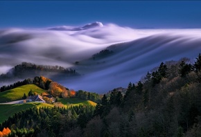 .  . ,   ,   ,  ,  . 