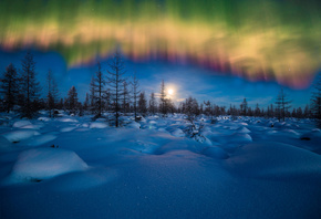 небо, ночь, снег, лес, зима, пейзаж, северное сияние, the sky, night, snow, ...
