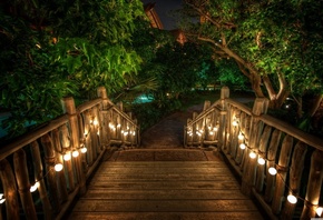 мост .сад свет, .лампы освещает деревья