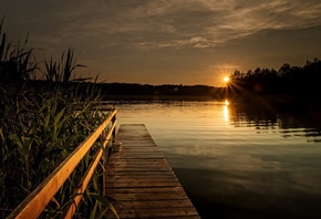 , , , , , , , , , Ptciennik Robert