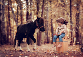 , , , , , , , , , , , , ,  