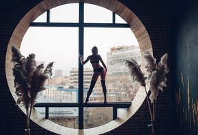 Roma Roma, ���� ����