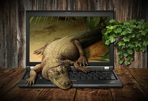 Crocodile, Fantasy, Laptop, Animal, Workplace, Display, ,  ...
