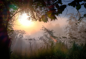 ������ ���, �������, ����, �������, �������, �����, ��������������, �����, ������