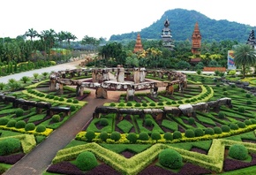 , , , , , , , nong nooch tropical  ...