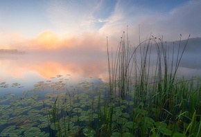 ����, �����, ��������, �����, ������, �������, ����, ��������, ������ ����� ...