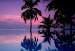 , , , , , , , ,  ...