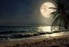 , , , , , , , , , ...