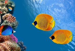 , , , , , , , ,  ...