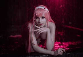 Shirogane-sama, Zero Two, Darling In The Franxx, , Anime
