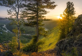 , , , , , , , , , , , ,  , 