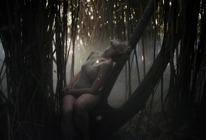 �������, �����