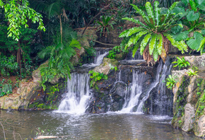 Jurong Bird Park, Singapore, , 