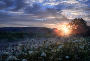 , , , , , , , , , ,  ...