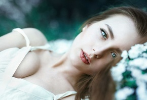 �������, ����, �������