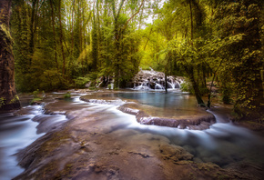 �������, ����, �������, �������, ���