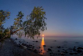 , , , , , , , , , , ,  , , Vaschenkov Pavel