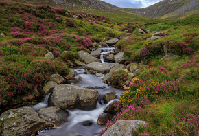 природа, горы, Ирландия, Barrie Lathwell, река, ручей, камни, вереск