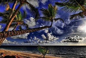 океан, пальмы, побережье, пляж, тропики