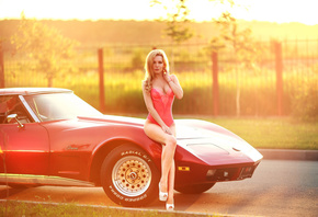 Corvette, , 