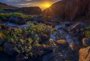 , , , , , , , , ,  ...