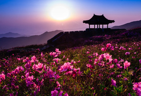 , , , , Hwangmaesan, , ,  ,  ...