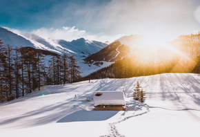 ����, ����, �������