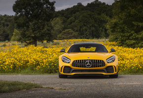 Mercedes, AMG, GT R