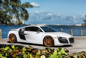 Audi, R8