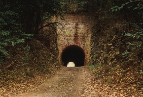 туннель, арка, деревья, листья