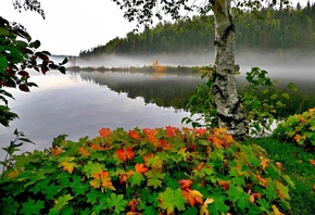 Канада, Квебек, природа, пейзаж, озеро, берега, лес, трава, листья, дерево, ...