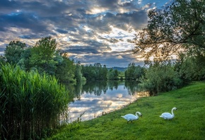 , , , , , , , , , ,  ...