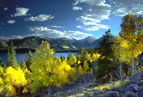 осень, деревья, пейзаж, горы, природа, озеро, Колорадо, США, Аспен